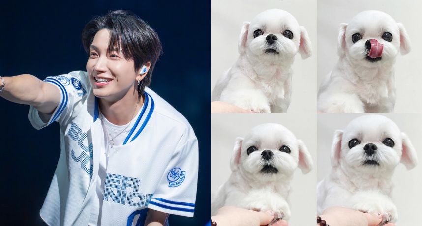 SJ 利特心碎曝愛犬罹重病！「像泡在水裡呼吸」痛到3天暴瘦2公斤　深夜急求名醫救狗