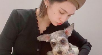 楊丞琳愛犬罹患認知困難!心痛苦嘆「無能為力」 6字更新近況