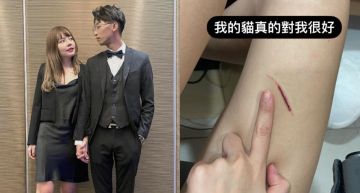 禍不單行!網紅被貓抓傷又被誤認「酒店妹」 她生氣的點卻是「這個」