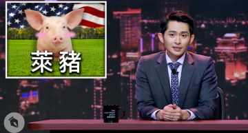 回歸夜夜秀?博恩搬「三隻小豬」大談萊豬議題 網驚:不怕被攻擊?