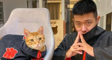 牛排不只一個帳號!生活型頻道推「無聲影片」 網驚:有百萬點閱率