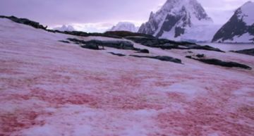 異象頻傳!下血雪、聖母顯靈「預告災難」 全與《啟示錄》有關