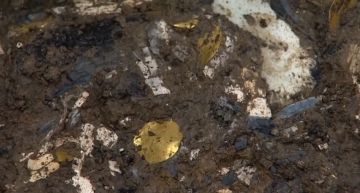 現代技術無法複製!三星堆出土「怪異青銅人像」 網:外星文明