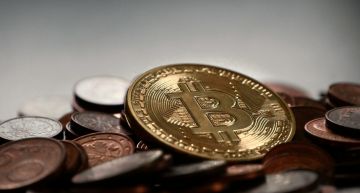 警搜查大麻農場!大樓內發現「非法礦場」 百台礦機全沒收