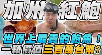 開箱最貴鮑魚!Toyz嫌難聞喊「臭鮑魚C」 網:不怕被吉?