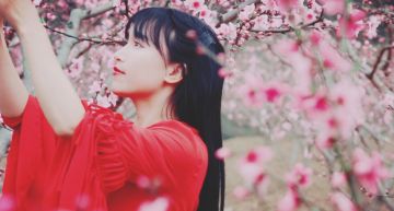 停更兩個月了!李子柒驚爆「捲入合約糾紛」:千萬帳號恐保不住
