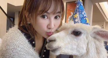 10億身價女星被「寵物草泥馬後踢」!當場血流不止急送醫:不怪牠
