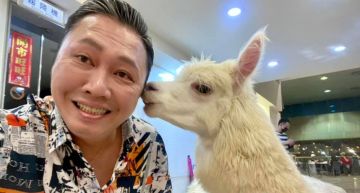 6年婚姻沒了!趙正平坦言「會再把老婆追回來」:這個失敗不會是永遠