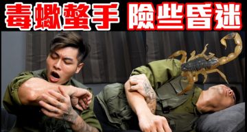 毒蠍螫手!瘋男「手爆筋腫2倍大」險昏迷 網:別拿命開玩笑