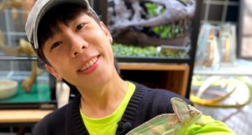 天竺鼠一天便便上百顆!林進曝「親子動物餐廳」 變色龍進食畫面超驚人