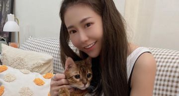 為尋貓噴鼻血!梓梓「懸賞金額」挨批少 酸民補槍:貓走失是報應