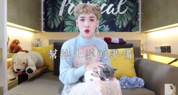 貓咪誤食壯陽藥!鍾明軒「一舉動」引網蓋樓怒批:不配養貓!