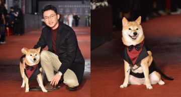 金鐘57/視網膜牽愛犬柚子登毯萌翻!擔任嘉賓輕鬆以對 主持人笑:是來遛狗的!