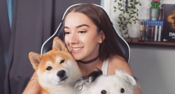 中離上廁所險出事!《艾爾登》Twitch正妹實況主愛犬「巧妙救援」幫主人跳脫攻擊險境