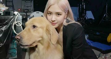史上最貴高規模!ROSÉ「solo將在演唱會公開」 MV成本驚人