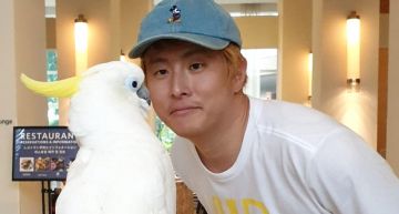 一個人住飯吃不完?「旗安84」曝冰過便當的好吃秘訣:超簡單