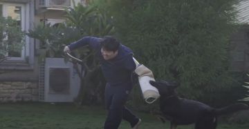 「電競緝毒犬」到狗學校上課?統神搏命演出網笑翻:好像有人在臭!