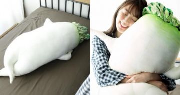 睡覺不寂寞!日本推出巨型「大根」抱枕 詭異姿勢看起來又有點可愛?