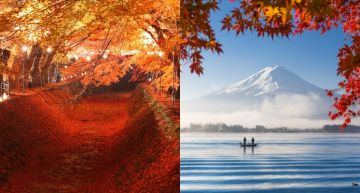 就是想被這豔紅包圍!日本秋天絕對不能錯過的賞楓景點—河口湖!