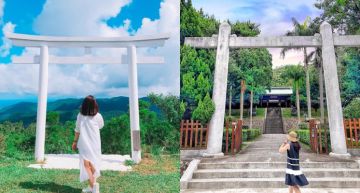 誰說鳥居一定要去日本拍?熱搜全台超美的日本鳥居!純白色鳥居美到以為自己去日本~