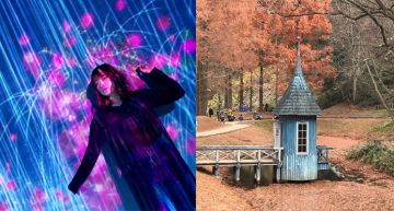 美到冒泡!2018日本網美最愛打卡景點Top3出爐,原來跑一趟山形縣就能看到龍貓本人♡