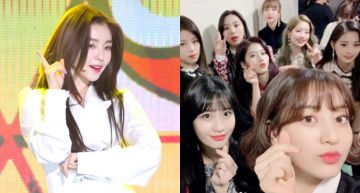 TWICE台下「同步一動作」!「Irene」舞跳一半瞄到…「嘴角失守」!