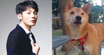 萌犬「撞臉李榮浩」!「一句歌詞」引萬人瘋傳 網崩潰:照片怎麼有聲音!