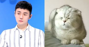 來自女友的吐槽!「楊丞琳」曬萌貓卻「撞臉李榮浩」另類放閃 粉絲笑噴!