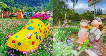 多達7萬株的鬱金香在台北盛開!第二屆「士林官邸鬱金香展」更大更繽紛~展期只有11天