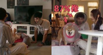 《如果愛》張書豪「學狗爬撿玩具」!吐舌哈氣「87%像」 柯佳嬿笑不停