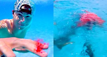 影/Youtuber「人血餵鯊魚」!一進深海鯊魚群聚 結局網友全看傻!