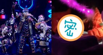 周杰倫演唱會驚見台下有「小學生趴跪寫作業」!網笑瘋:最正港的《聽媽媽的話》