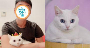 YouTuber「隱藏版男神」真D帥!網曝「理工男」5大驚天優勢狂推:好想當貓
