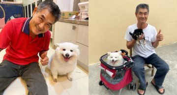 虐待動物?「老人與狗」萌寵拔河影片惹爭議 出面道歉:不會再犯
