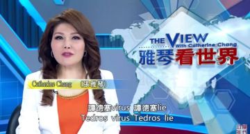 烙全英文嗆爛譚德塞!張雅琴氣炸「台灣不是塑膠做的」 網嗨:比台語罵人還練等!