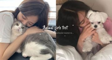 準爆!日本SNS熱門心理診斷,從喜歡的告白場景測出屬於哪種動物系女孩?