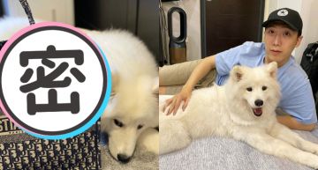 名牌包慘遭毒牙「整個爛掉」!小吳貼兇手照:我養你,你這樣對我!