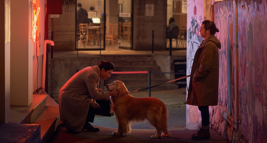 《日日好狗日》好評不斷！觀眾大呼：「狗狗是最珍貴的禮物！」