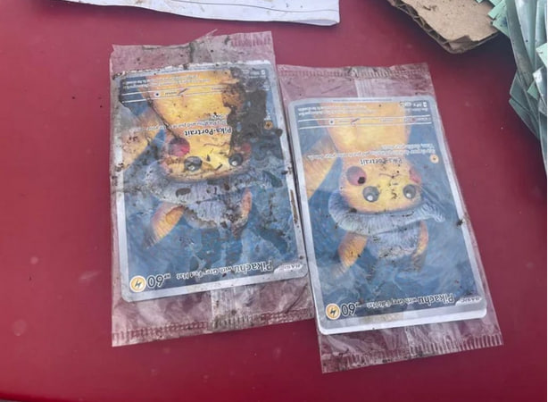寶可夢玩家搶購限量「梵谷皮卡丘」!不料包裹遭自家火雞咬爆損失高達上萬元
