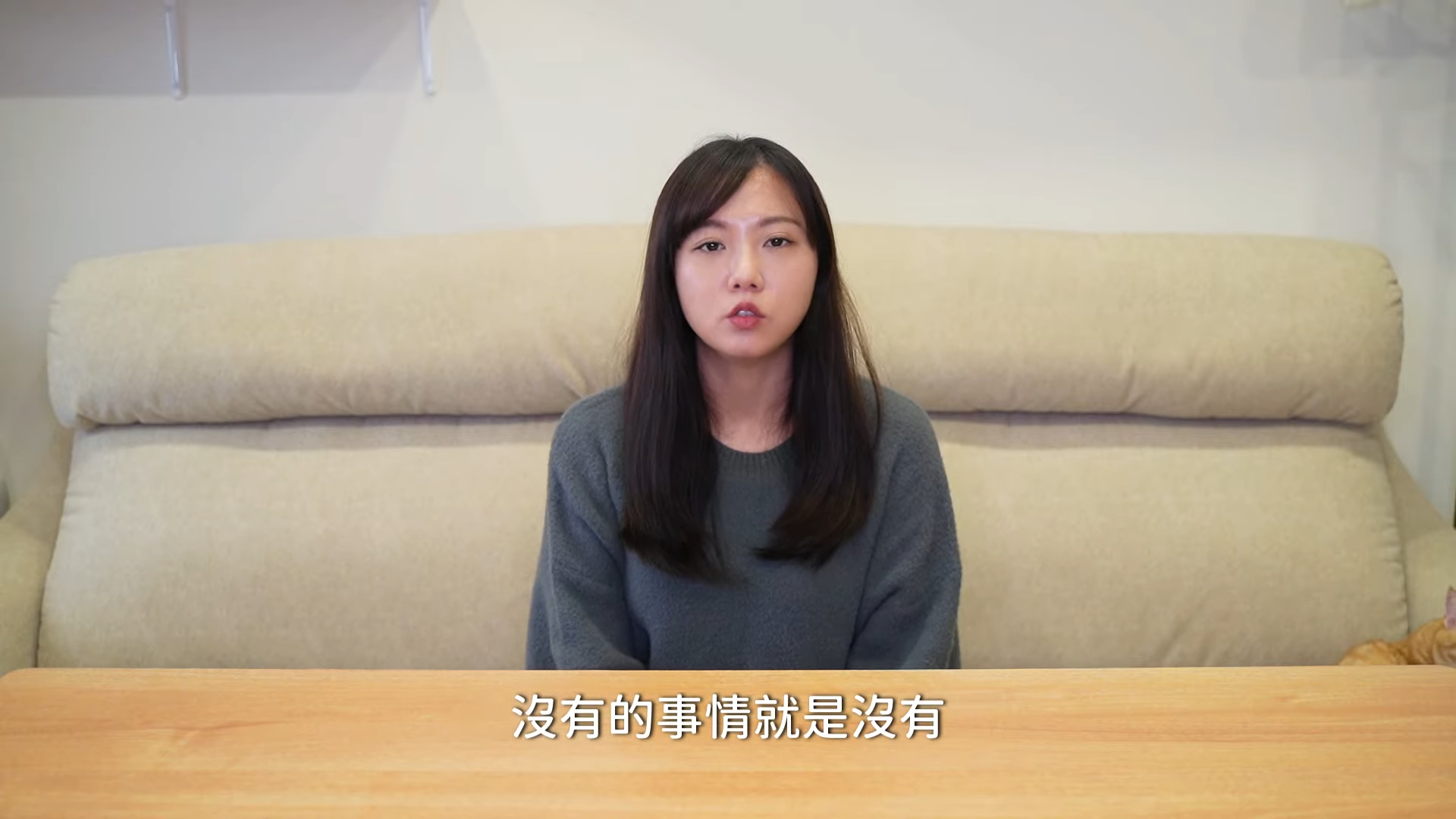 「大外宣」話題延燒!再度遭控收中國錢拍Vlog 魚乾澄清回擊:沒有的事就是沒有