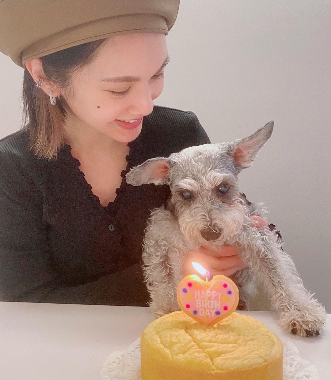 楊丞琳愛犬罹患認知困難!心痛苦嘆「無能為力」 6字更新近況