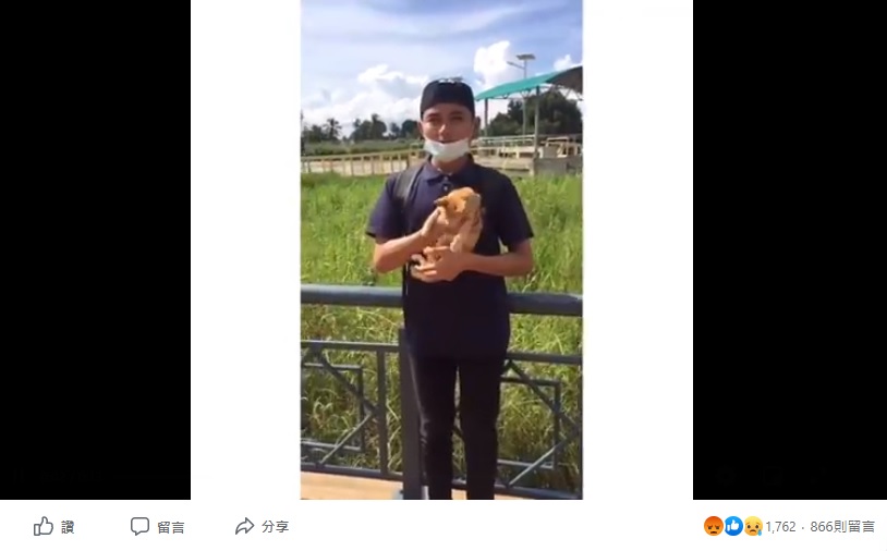 大馬屁孩為當網紅「丟貓」拍影片!動物協會轉發抓人成功