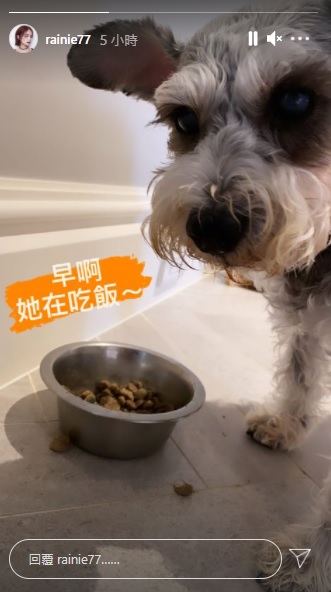 楊丞琳愛犬罹患認知困難!心痛苦嘆「無能為力」 6字更新近況
