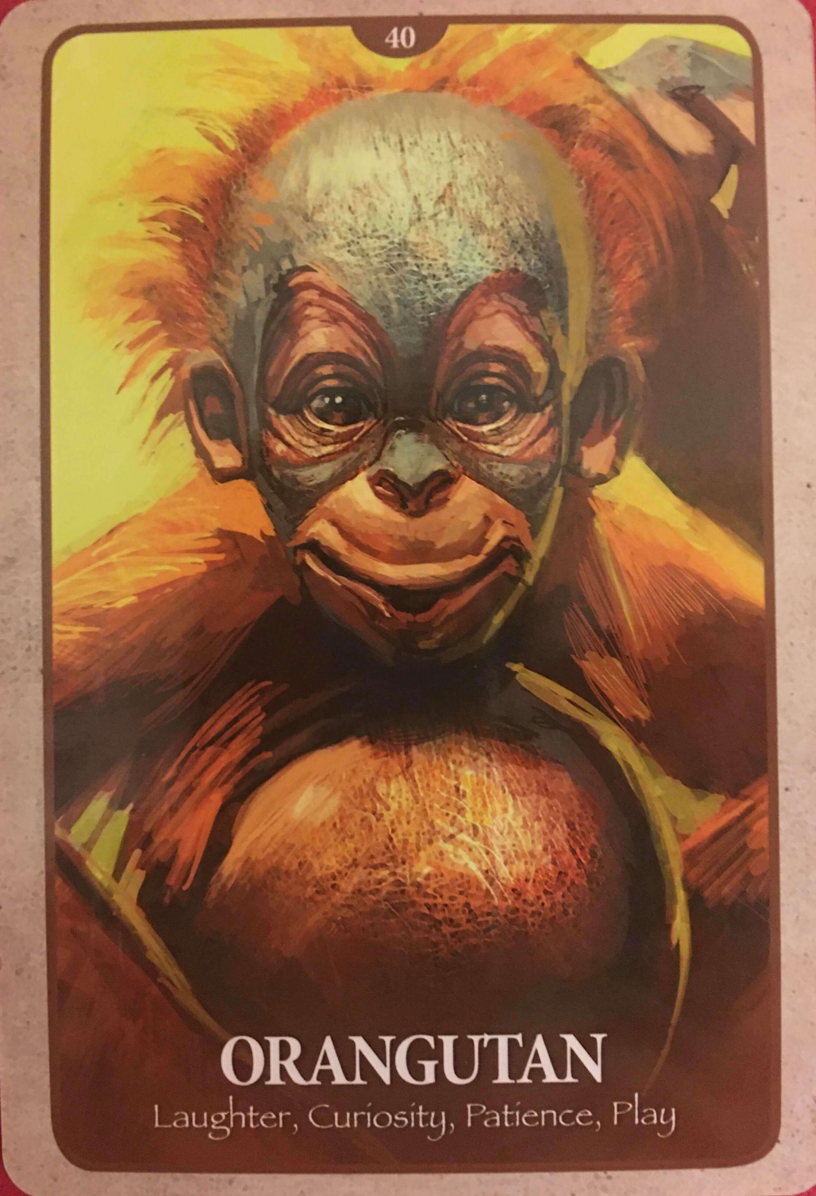 每週占卜/新年新氣象!測力量動物「送我的2021年關鍵詞」?