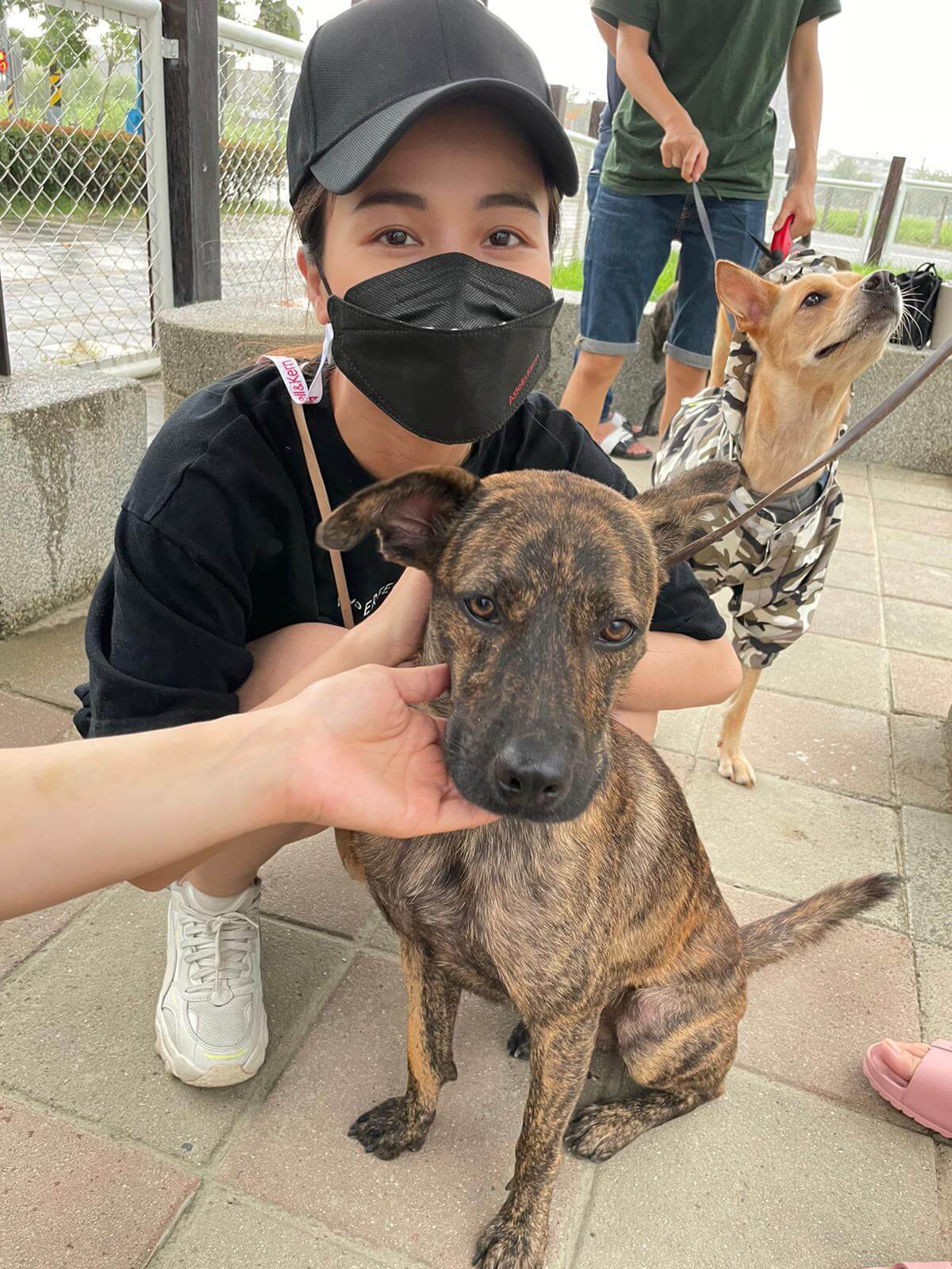 林芯儀生日母愛噴發探望毛小孩　願望直呼：希望能有自己創作的作品！