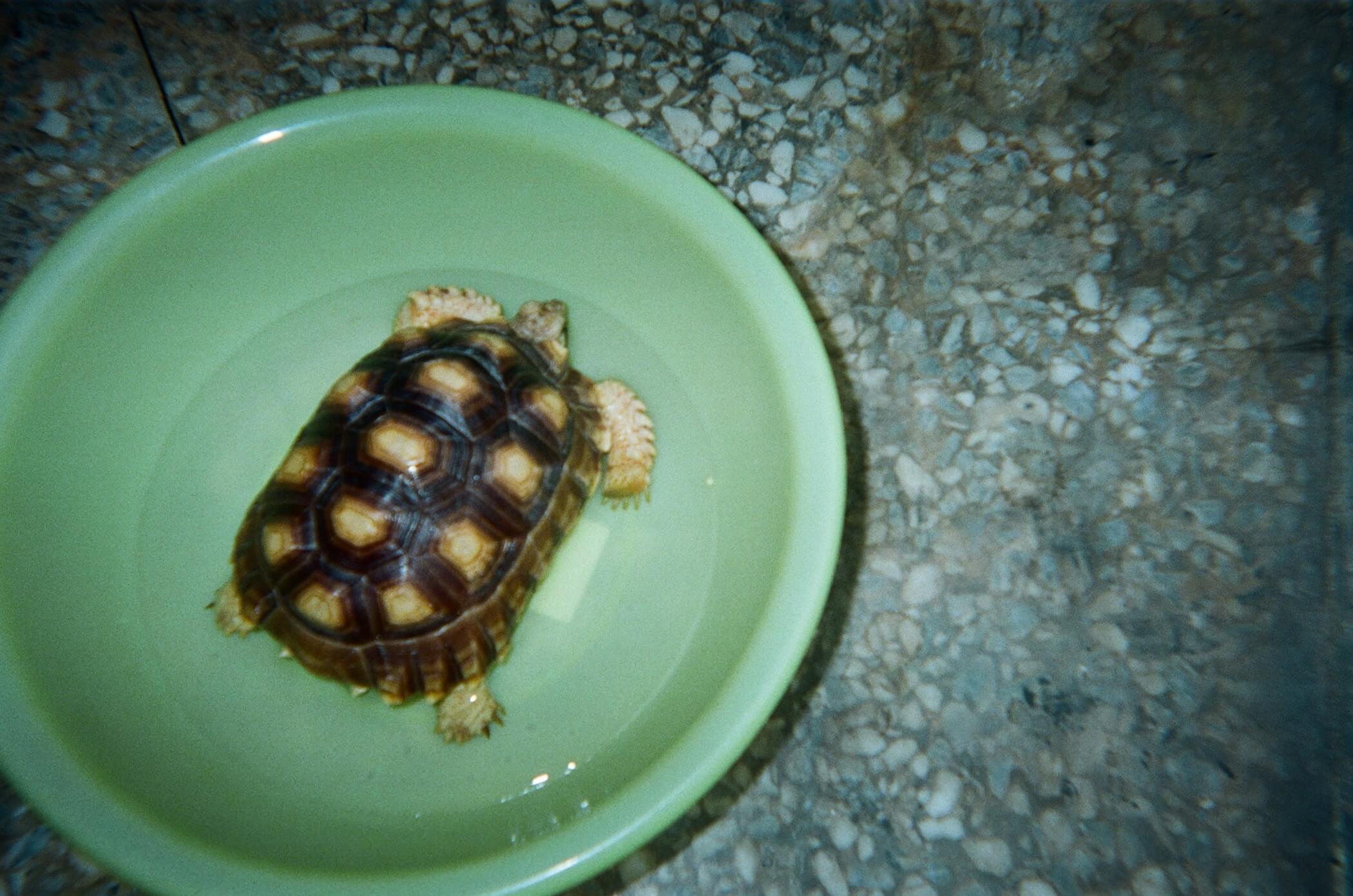 封面人物／如水般柔軟且純淨！林柏宏：「內心越簡單，越能駕馭複雜的角色」