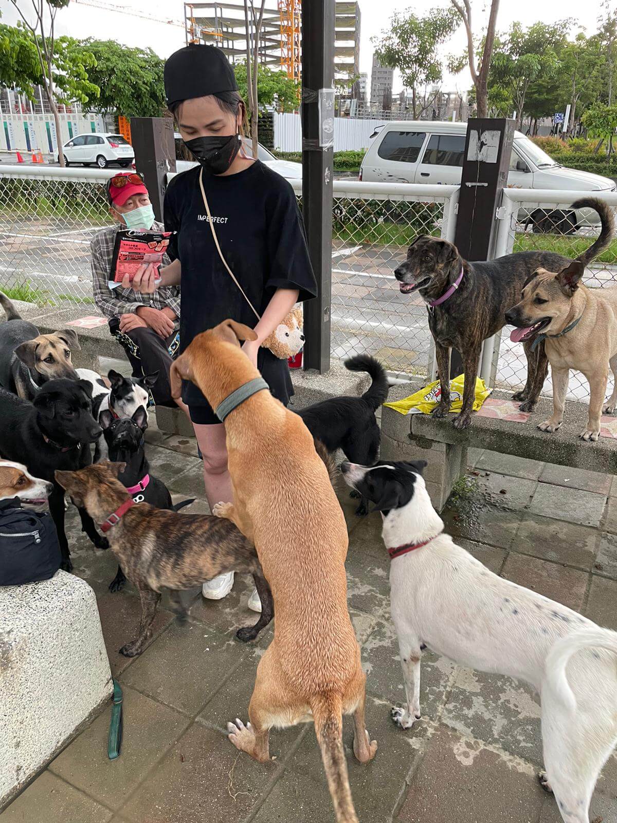 林芯儀生日母愛噴發探望毛小孩　願望直呼：希望能有自己創作的作品！