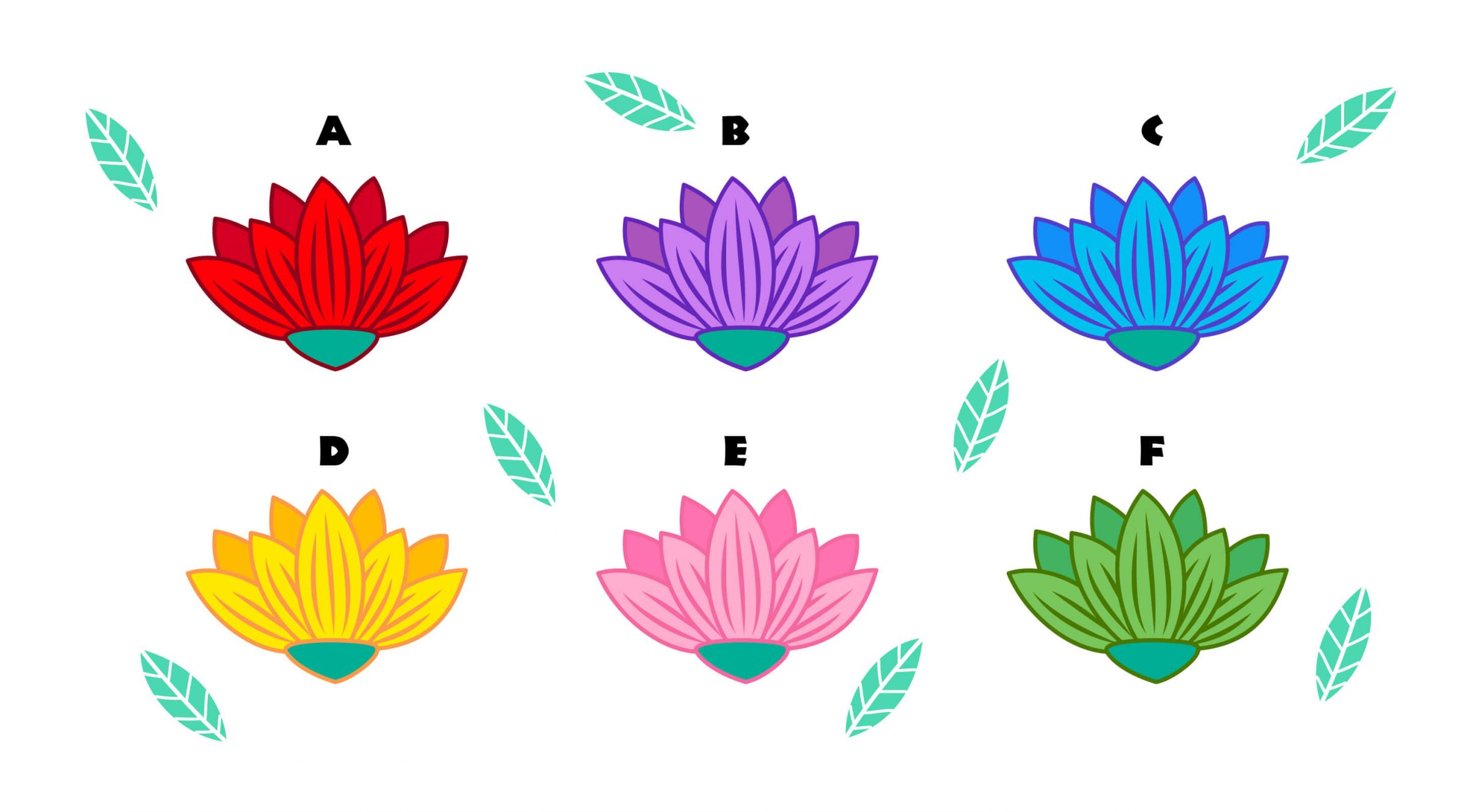 每週占卜/選一朵花 測未來三個月「該如何照顧自己」?