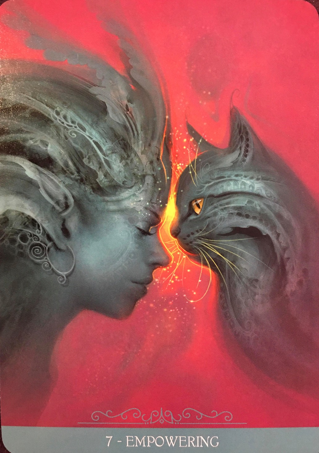 每週占卜/為自己衝一波!抽一張牌 測年底前「如何達成目標」?