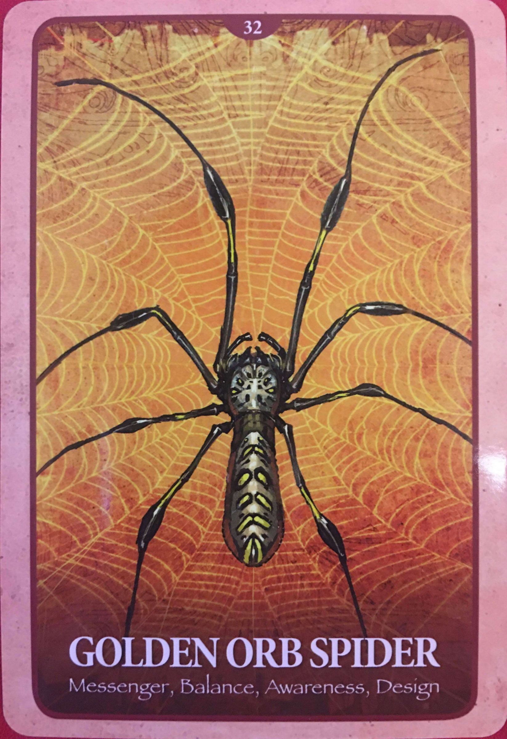 每週占卜/新年新氣象!測力量動物「送我的2021年關鍵詞」?